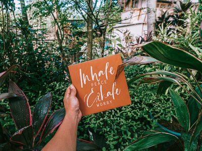 A serene natural landscape, suggesting mental peace and calm.